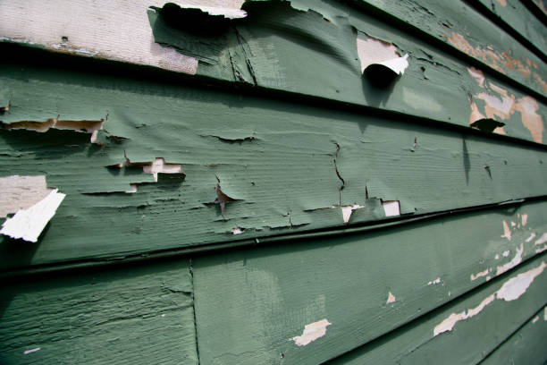 Best Residential Vinyl Siding Installation  in Scott, LA
